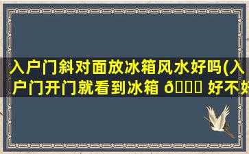 入户门斜对面放冰箱风水好吗(入户门开门就看到冰箱 🕊 好不好)